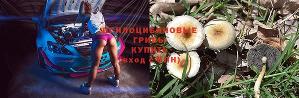 ГАЛЛЮЦИНОГЕННЫЕ ГРИБЫ Балабаново