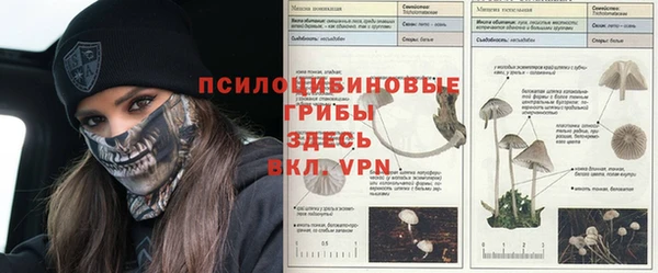 ГАЛЛЮЦИНОГЕННЫЕ ГРИБЫ Балабаново