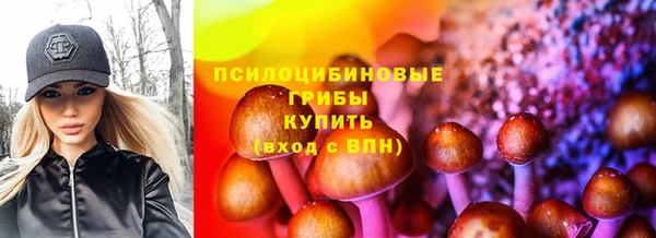 ГАЛЛЮЦИНОГЕННЫЕ ГРИБЫ Балабаново